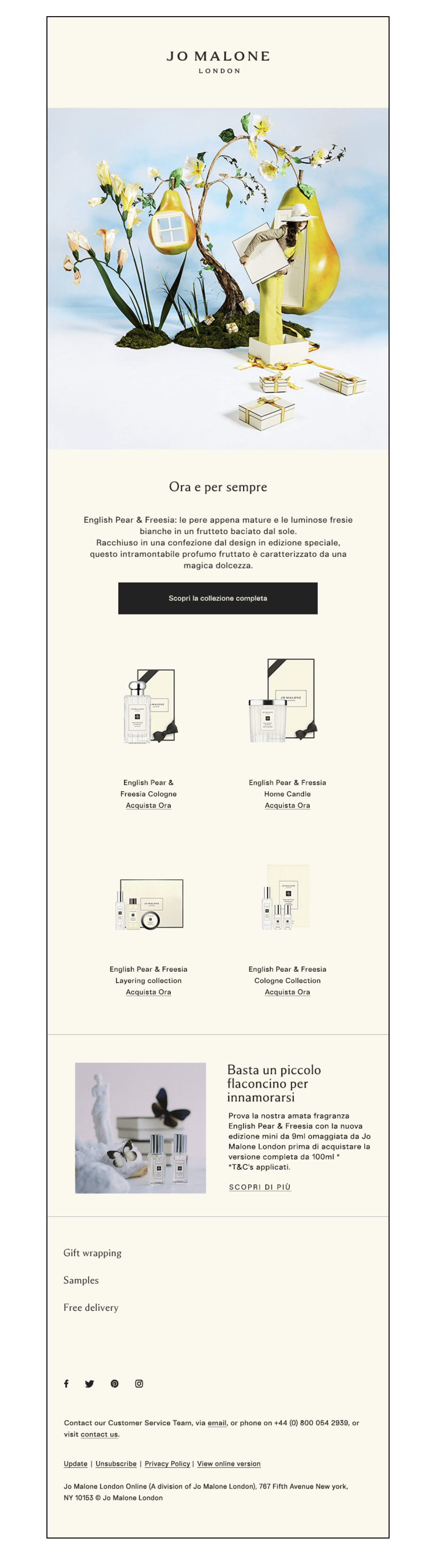 portfolio